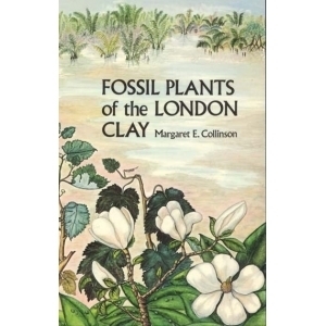 Product - 01. Fossil plants of the London Clay Image