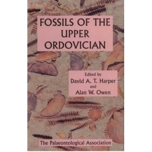 Product - 07. Fossils of the Upper Ordovician Image