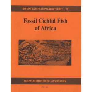 Product - 029 Fossil cichlid fish of Africa. Image