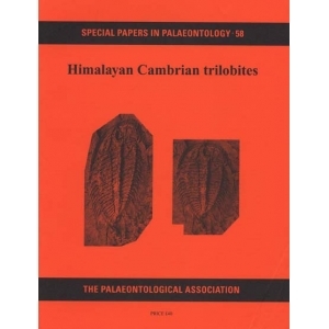 Product - 058 Himalayan Cambrian trilobites.  Image