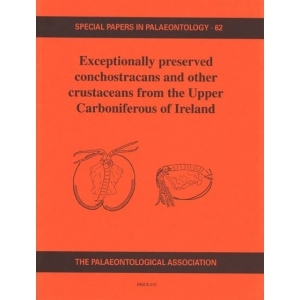 Product - 062 Exceptionally preserved conchostracans and other crustaceans from the Upper carboniferous, Ireland. Image