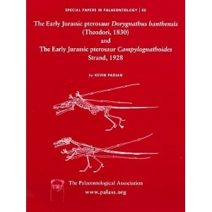 Product - 080 Early Jurassic pterosaur Dorygnathus banthensis (Theodori, 1830) & The early Jurassic pterosaur Campylognathoides Strand, 1928 Image