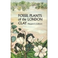 Product - 01. Fossil plants of the London Clay Image