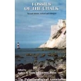Product - 02. Fossils of the Chalk (Second Edition) Image