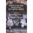Product - 09. Fossils of the Rhaetian Penarth Group Image