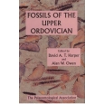 Product - 07. Fossils of the Upper Ordovician Image