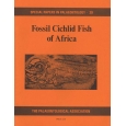 Product - 029 Fossil cichlid fish of Africa. Image