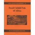 Product - 029 Fossil cichlid fish of Africa. Image