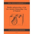 Product - 043 Benthic palaeoecology of the Late Jurassic Kimmeridge Clay. Image