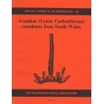 Product - 046 Arundian (Lower Carboniferous) conodonts from South Wales. Image