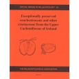 Product - 062 Exceptionally preserved conchostracans and other crustaceans from the Upper carboniferous, Ireland. Image