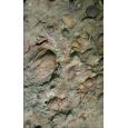 Product - 11. Silurian Fossils of the Pentland Hills, Scotland Image