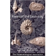 Product - 12. Fossils of the Gault Clay Image
