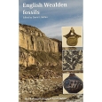 Product - 14. English Wealden Fossils Image