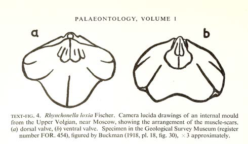 PalAss at 60 - Volume 1 Text Fig 4