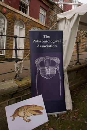 Yorkshire Fossil Festival 2014 - Figure 1 Yorkshire Fossil Festival 2014 - Figure 1