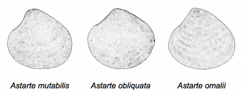 PalaeoMath 101 - Figure 29.2