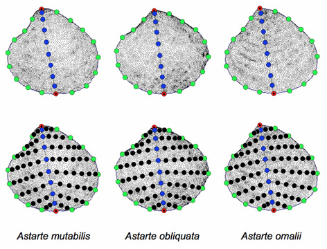 PalaeoMath 101 - Figure 29.3 PalaeoMath 101 - Figure 29.3