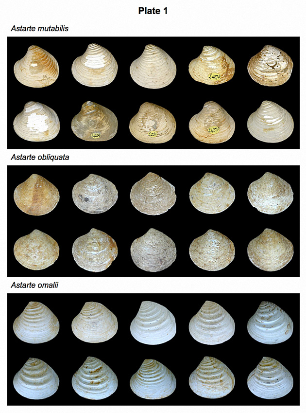 PalaeoMath 101 - Plate 29.1 PalaeoMath 101 - Plate 29.1