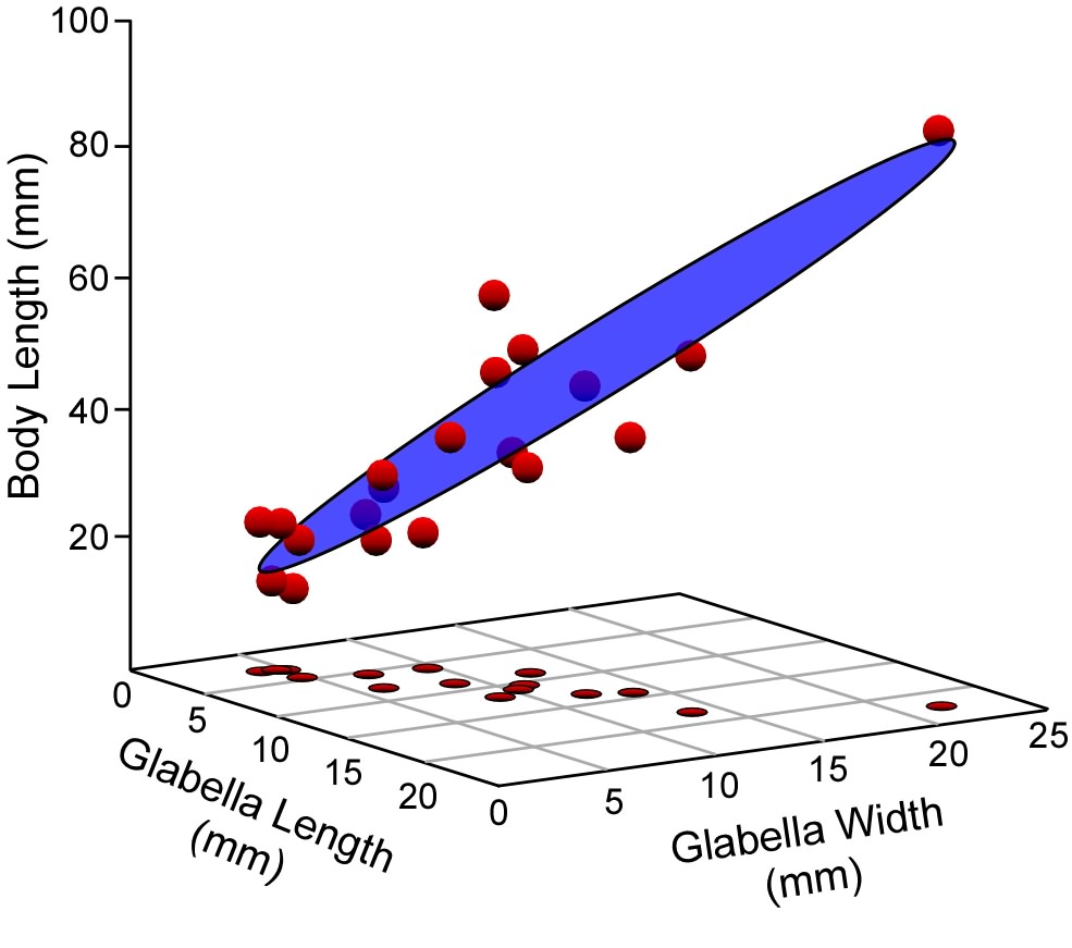 PalaeoMath 101 - Figure 4.2