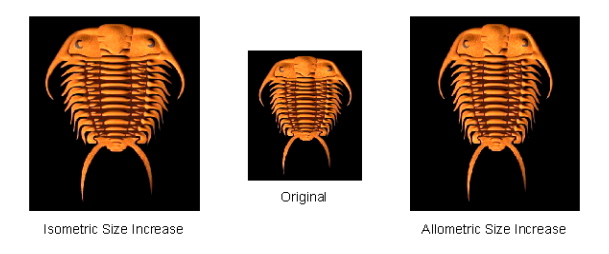 PalaeoMath 101 - Figure 5.6 PalaeoMath 101 - Figure 5.6
