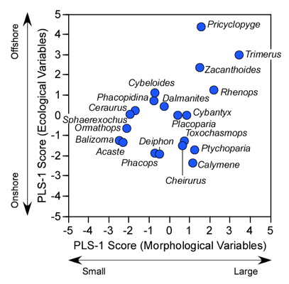 PalaeoMath 101 - Figure 9.3