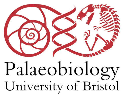 Bristol Palaeobiology logo