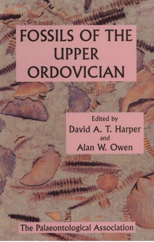 No. 7 - Fossils of the Upper Ordovician - Cover