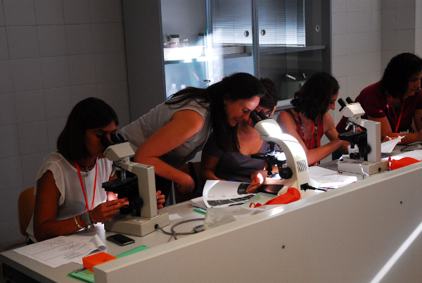Newsletter Number 90 - Microscope sessions Newsletter Number 90 - Microscope sessions