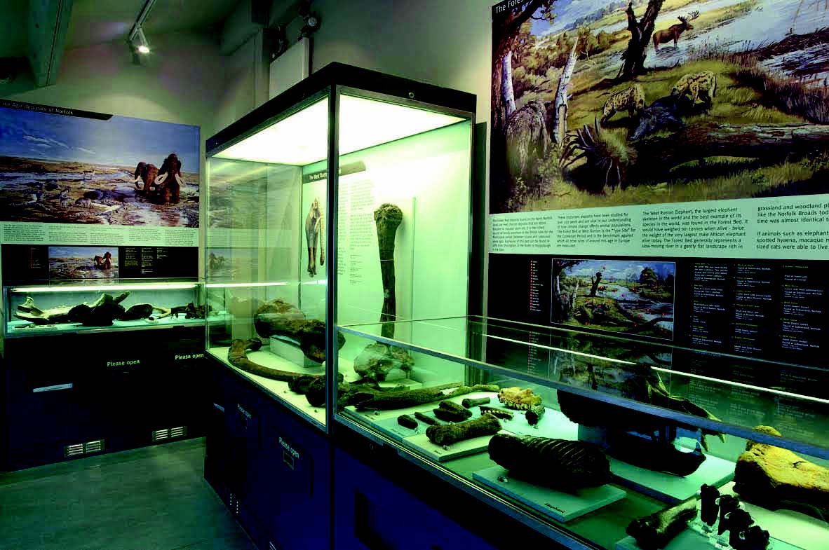 The geology gallery at Cromer Museum The geology gallery at Cromer Museum