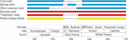 Range chart of reef ecosystems across the Permian/Triassic boundary Range chart of reef ecosystems across the Permian/Triassic boundary