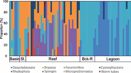 Species composition of samples from the Middle Triassic (Anisian stage) of the Aggtelek Karst.