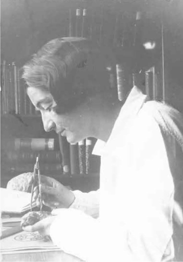 Edinger measuring an endocranial cast in 1926